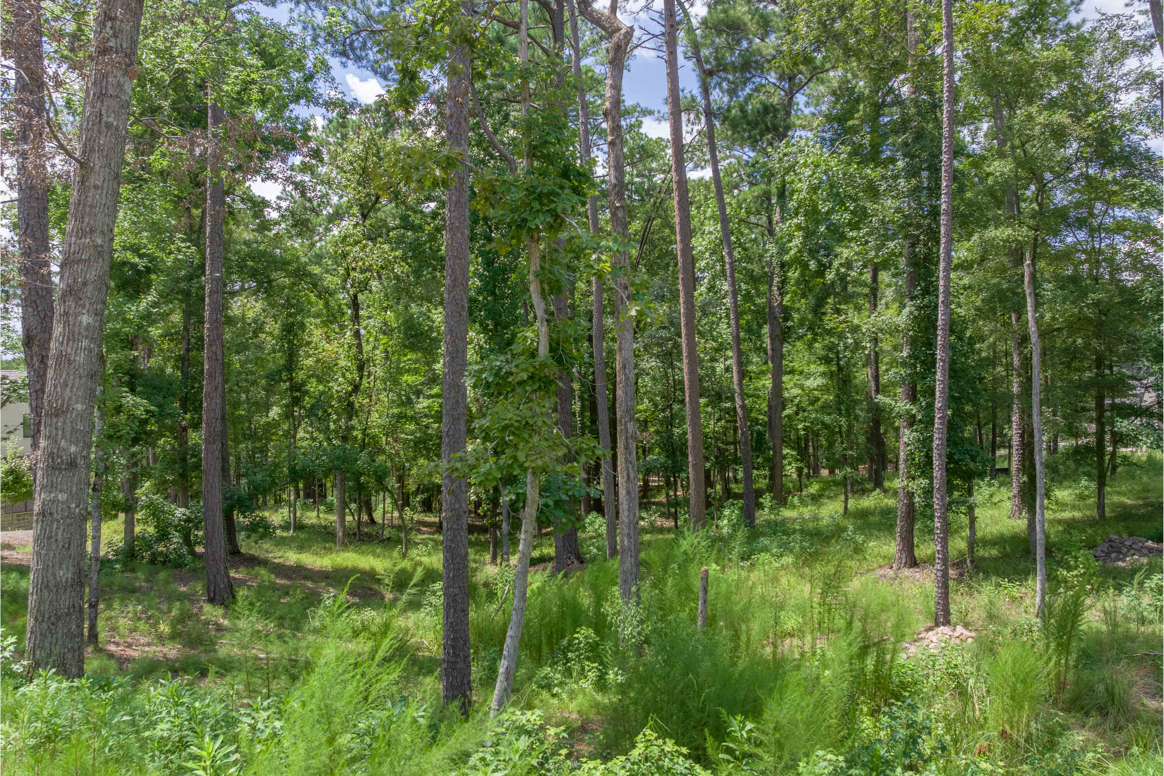 1491 Night Heron Drive image 6